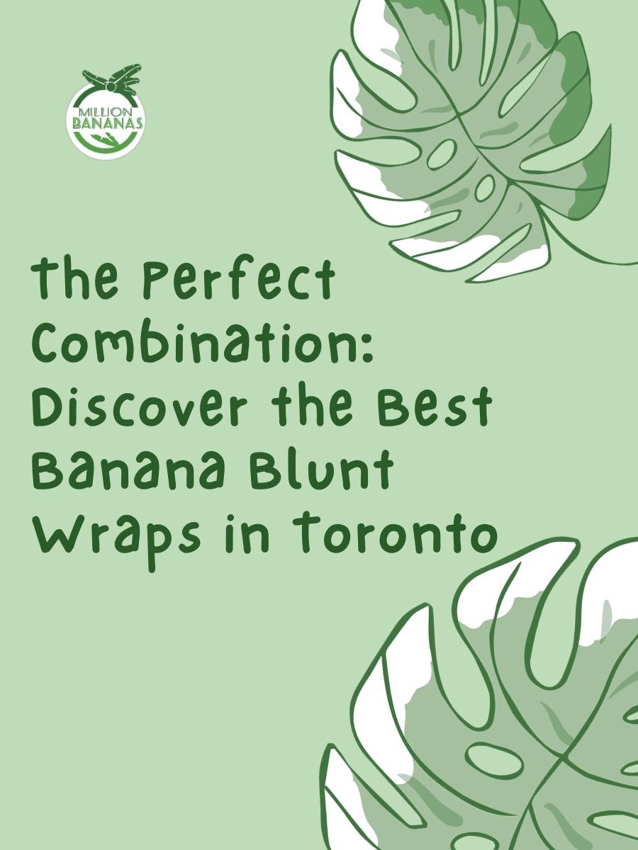 The Perfect Combination Discover the Best Banana Blunt Wraps in Toronto